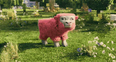 Pink Sheep